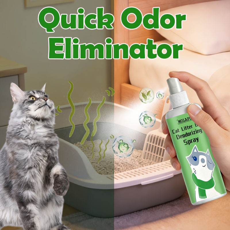 Cat Litter Deodorizing Spray - - огляд і ціна Home Bathroom With Urinal